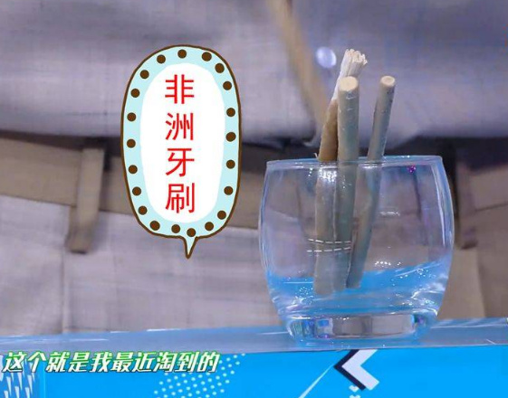 “非洲牙刷”现身《快本》,梁靖康极力推荐,梁靖康:非常好用!