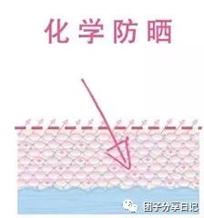 小仙女们都爱用的防晒,无限回购的防晒推荐