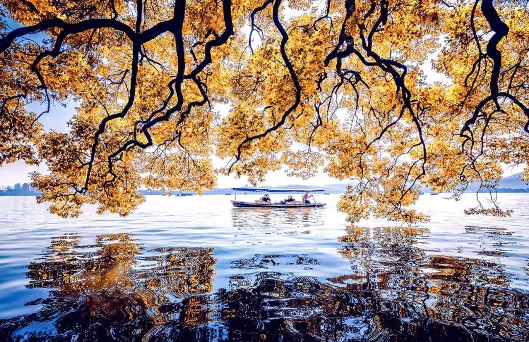 昆明池七夕节目直播,昆明池七夕央视晚会观看