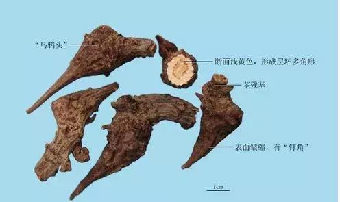 这四种中成药不要经常吃,这四种中药不建议长期吃