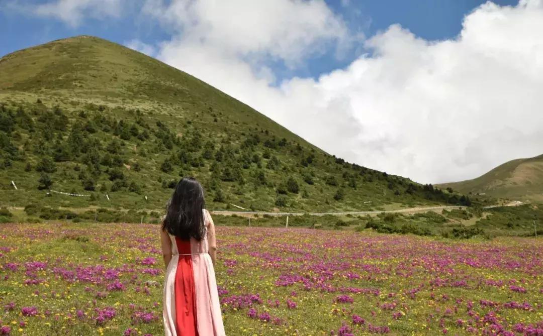 夏季炎热成都旅行一日游攻略,八月份成都出发适合旅游的地方