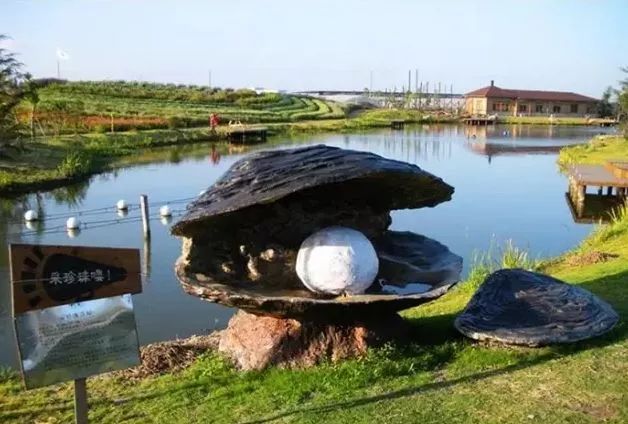 承包鱼塘怎么经营能挣钱,承包鱼塘怎么能盈利