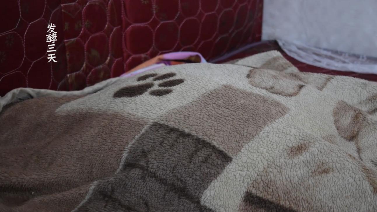 客家人自制糯米酒的正确方法视频,客家糯米酒制作过程