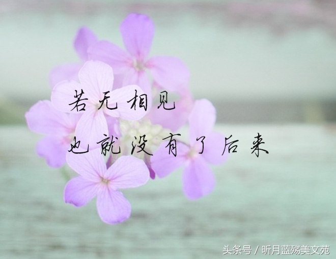 岁月漫长，你的名字已入骨