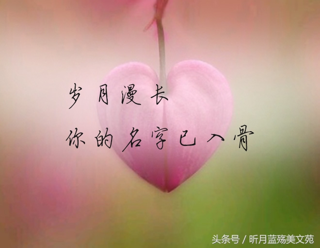 岁月漫长，你的名字已入骨