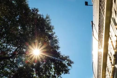 夏日暑语｜什么是师大人心中最甜的那一口西瓜？