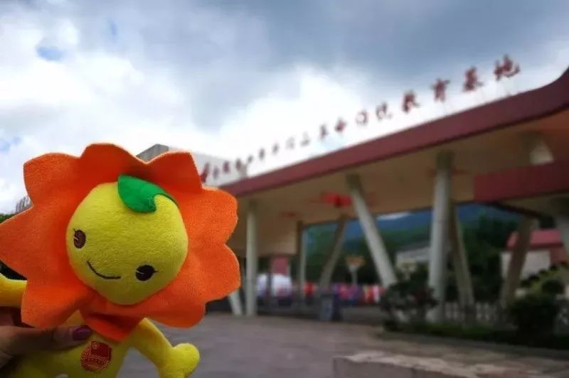 夏日暑语｜什么是师大人心中最甜的那一口西瓜？