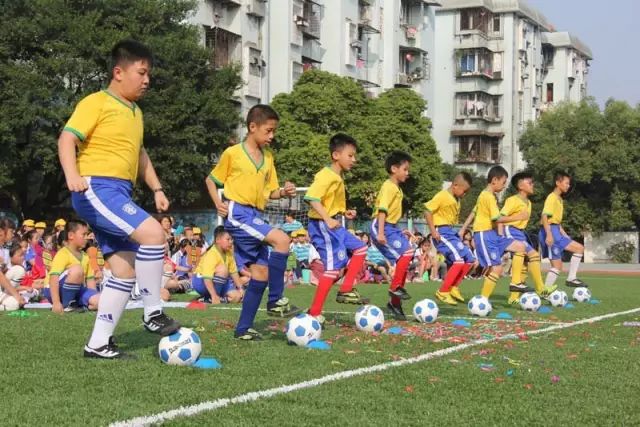 柳江规划即将要建的学校,柳州市柳江区有哪些学校