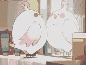 18岁卵巢早衰,卵巢早衰的确诊依据