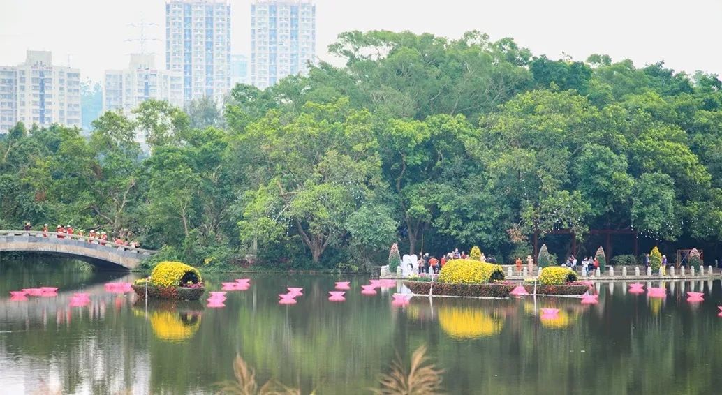 深圳吃喝玩乐两日游推荐,深圳周边游吃喝一日游推荐