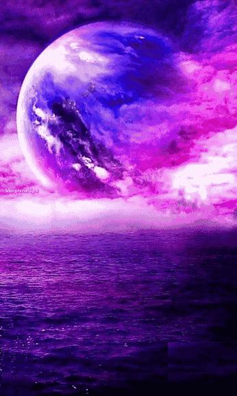 会动的图片大全,会动的照片图片