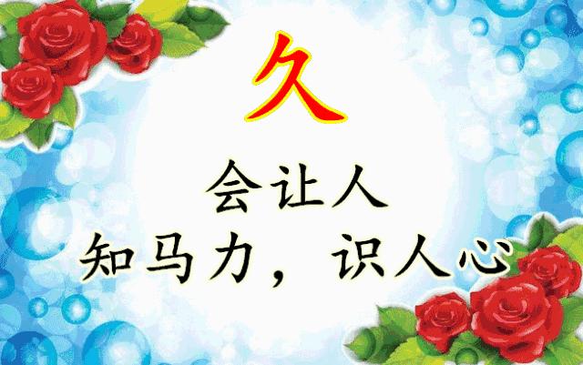 会动的图片大全,会动的照片图片