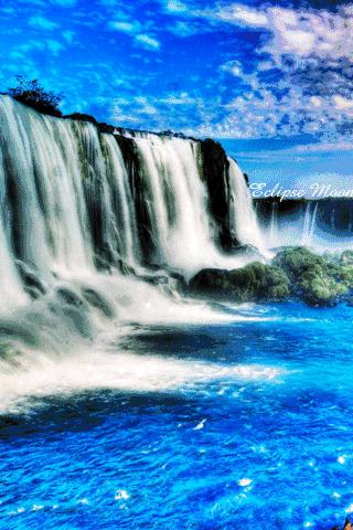 会动的图片大全,会动的照片图片