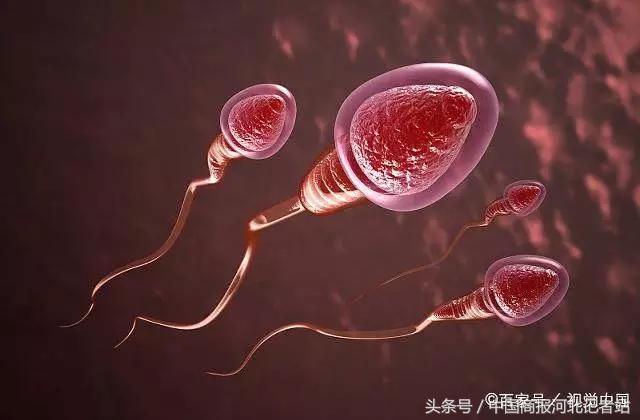 “精子”进入女性身体却没“受精”，去哪里呢？看完可能就清楚了