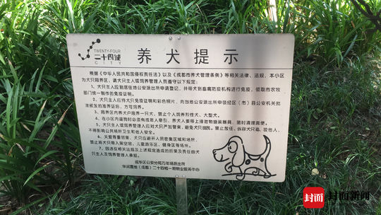 德牧被未牵绳主人暴打,在城市小孩被德牧咬伤怎么赔偿