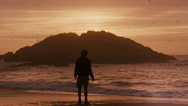 11部高分治愈电影推荐,盘点11部豆瓣3分以下的电视剧