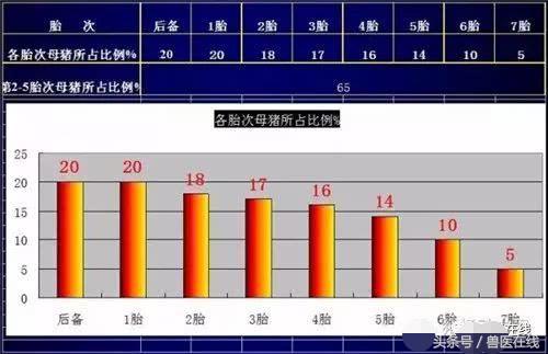 温氏母猪的养殖方法,温氏养猪饲养教学