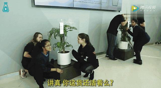 这一回，宜家开始“虐待”植物了！30天3D循环辱骂，活生生把植物给“骂枯”！