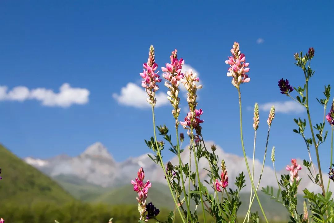 当你一无所有的时候没人搭理你文案,当你一无所有的时候放手一搏