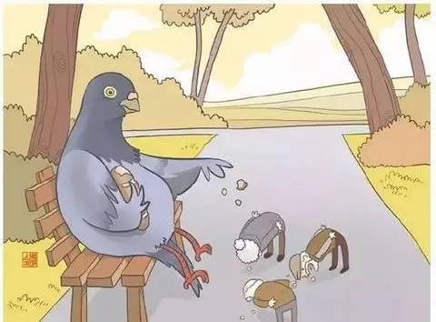 当人肉被动物从超市买回来……