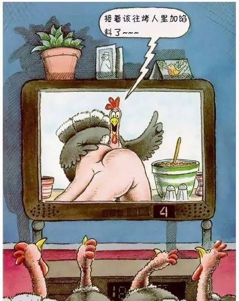 当人肉被动物从超市买回来……