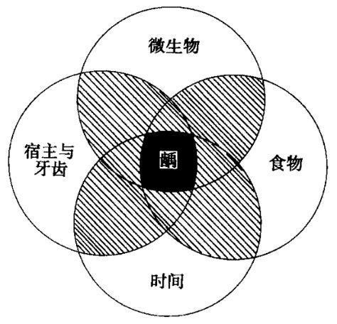 酒泡花椒大蒜能治牙痛吗,牙疼用花椒泡酒含在嘴里有用吗