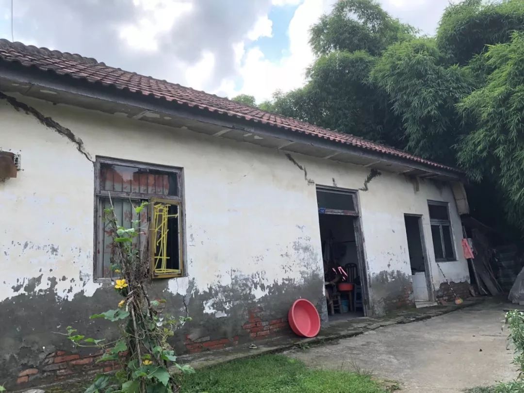 2008年的成都三圣乡,成都郊区三圣乡