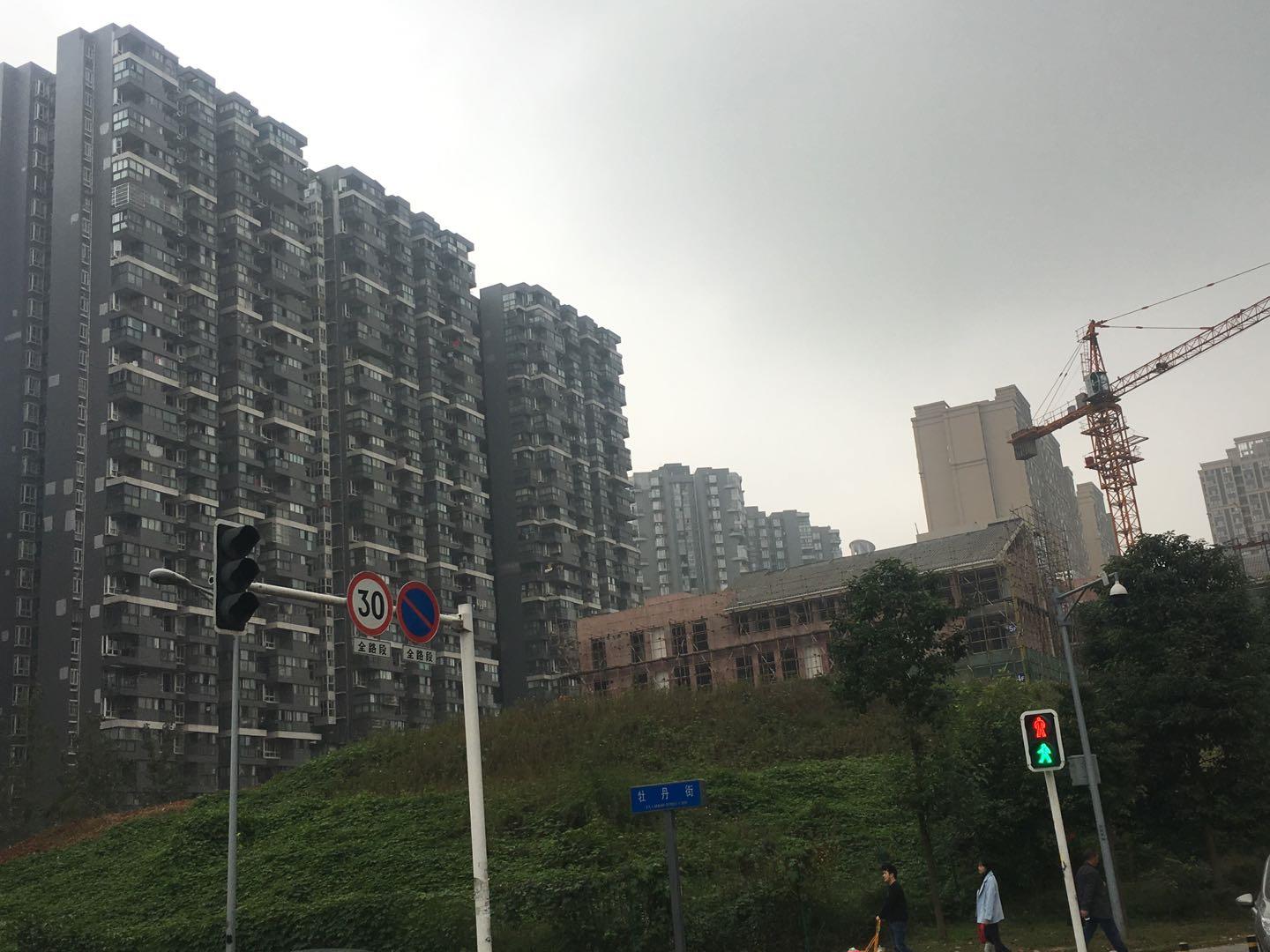 2008年的成都三圣乡,成都郊区三圣乡