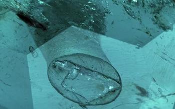 鉴宝遇到最贵的宝石,鉴宝节目专家鉴定什么石头最值钱