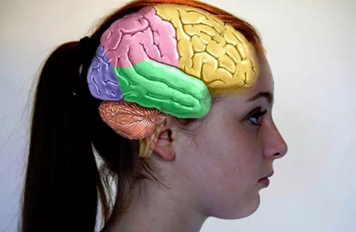 月经会改变日期吗,月经和大脑有没有关联