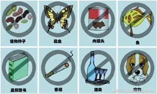 回国带东西千万要谨慎,注意了有些东西千万别带回家