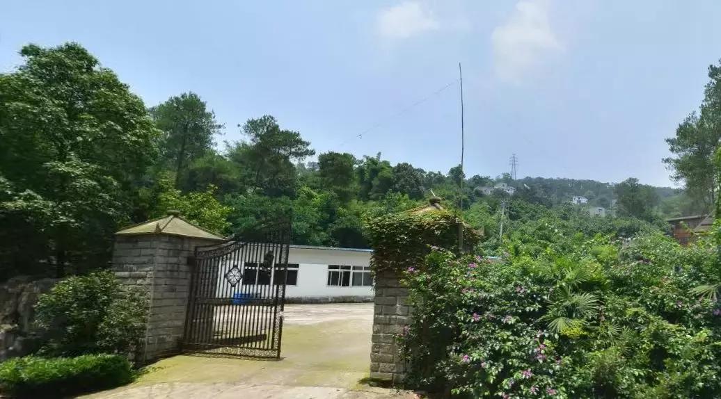 重庆十个有特色旅游景点,重庆市内附近旅游景点有哪些