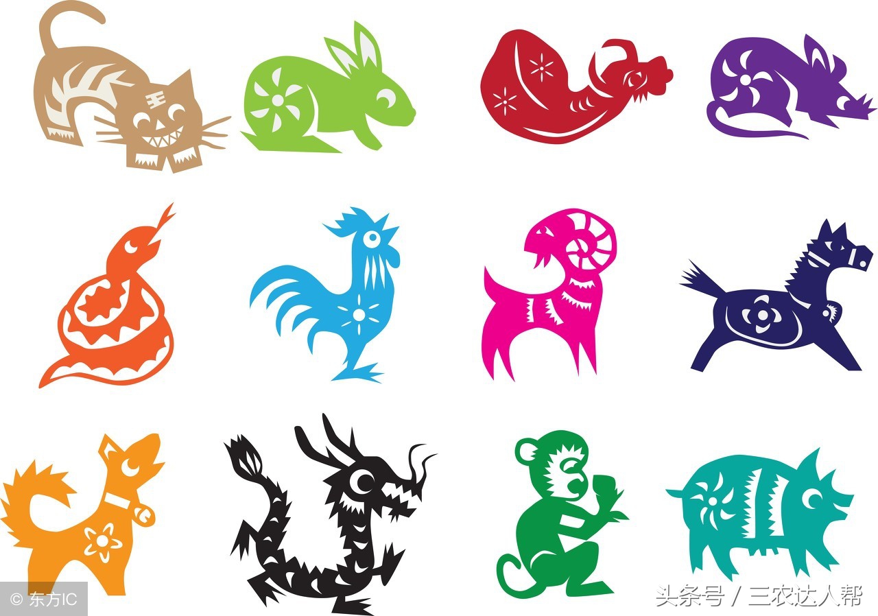 男不要属鸡女不属羊啥意思,男不属羊女不属鸡什么意思