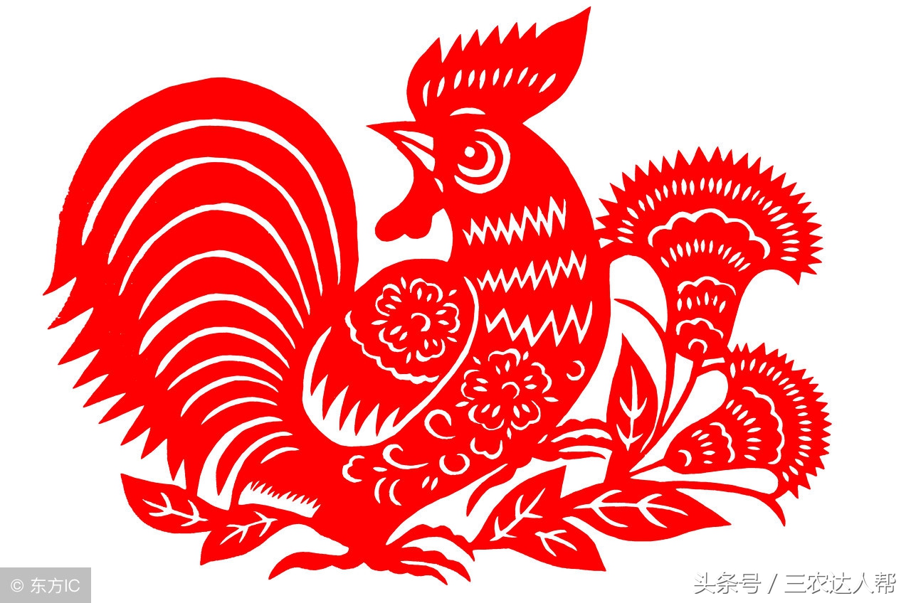 男不要属鸡女不属羊啥意思,男不属羊女不属鸡什么意思