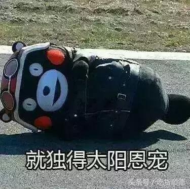 这道只卖一个月的“菌中之王”终于重出江湖，等了一年值得！