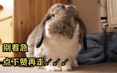 福建泉州泉港停电通知最新,泉州惠安县怎么查停电通知