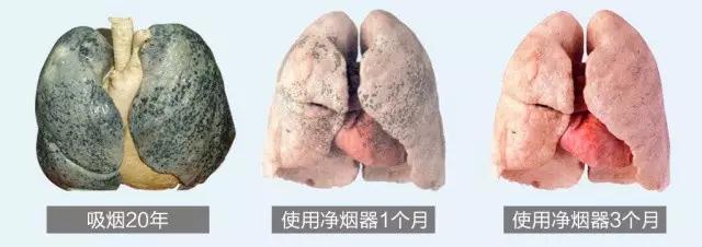 香烟有什么医疗功效,香烟有杀菌功效吗