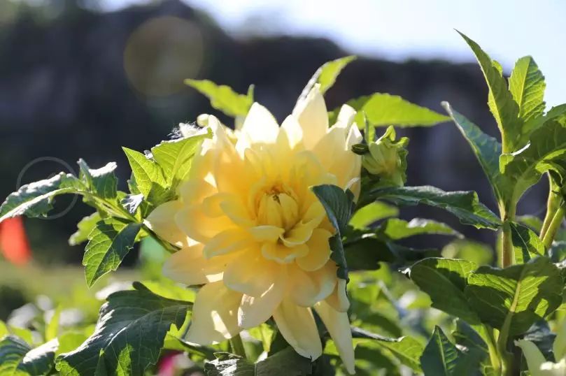 触手可及的只是短暂的幸福,触手可及的才是真实的