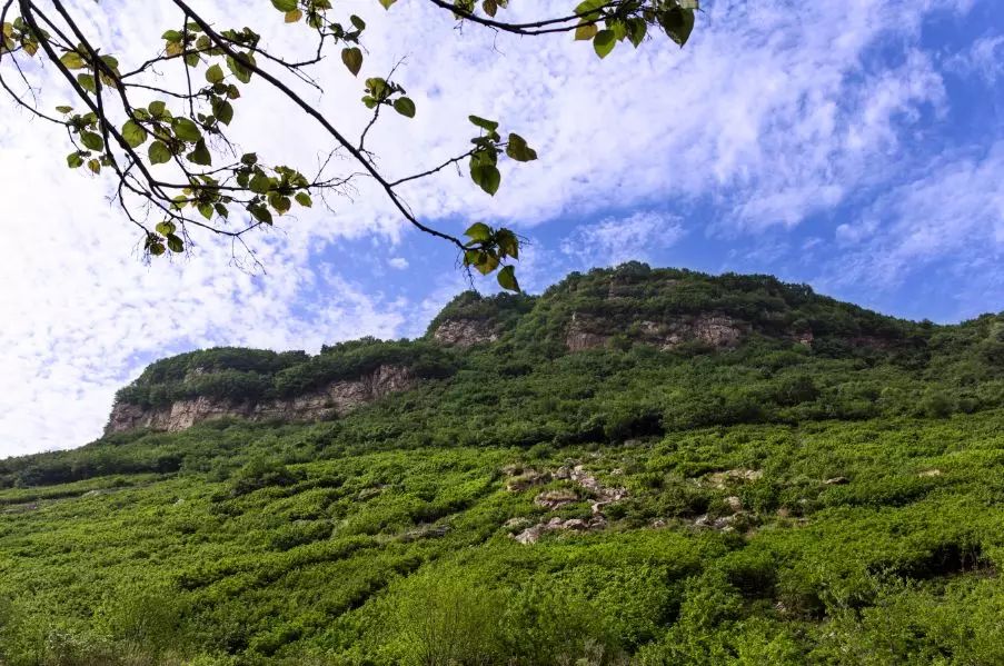 触手可及的只是短暂的幸福,触手可及的才是真实的