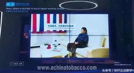 亲橙里精品店,亲橙体验店