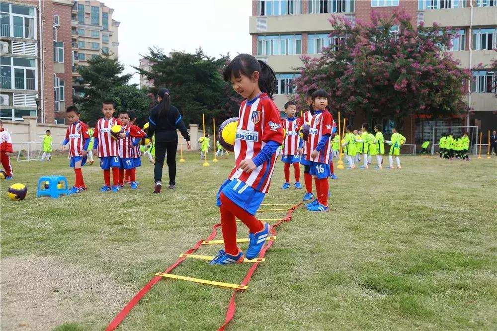 广东足球学校有哪几所,广东的足球学校有哪些