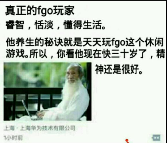 fgo日服最新排行榜,fgo日服模拟器