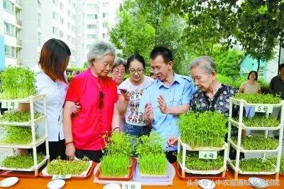 纸上种菜有市场吗,纸上种菜用什么纸