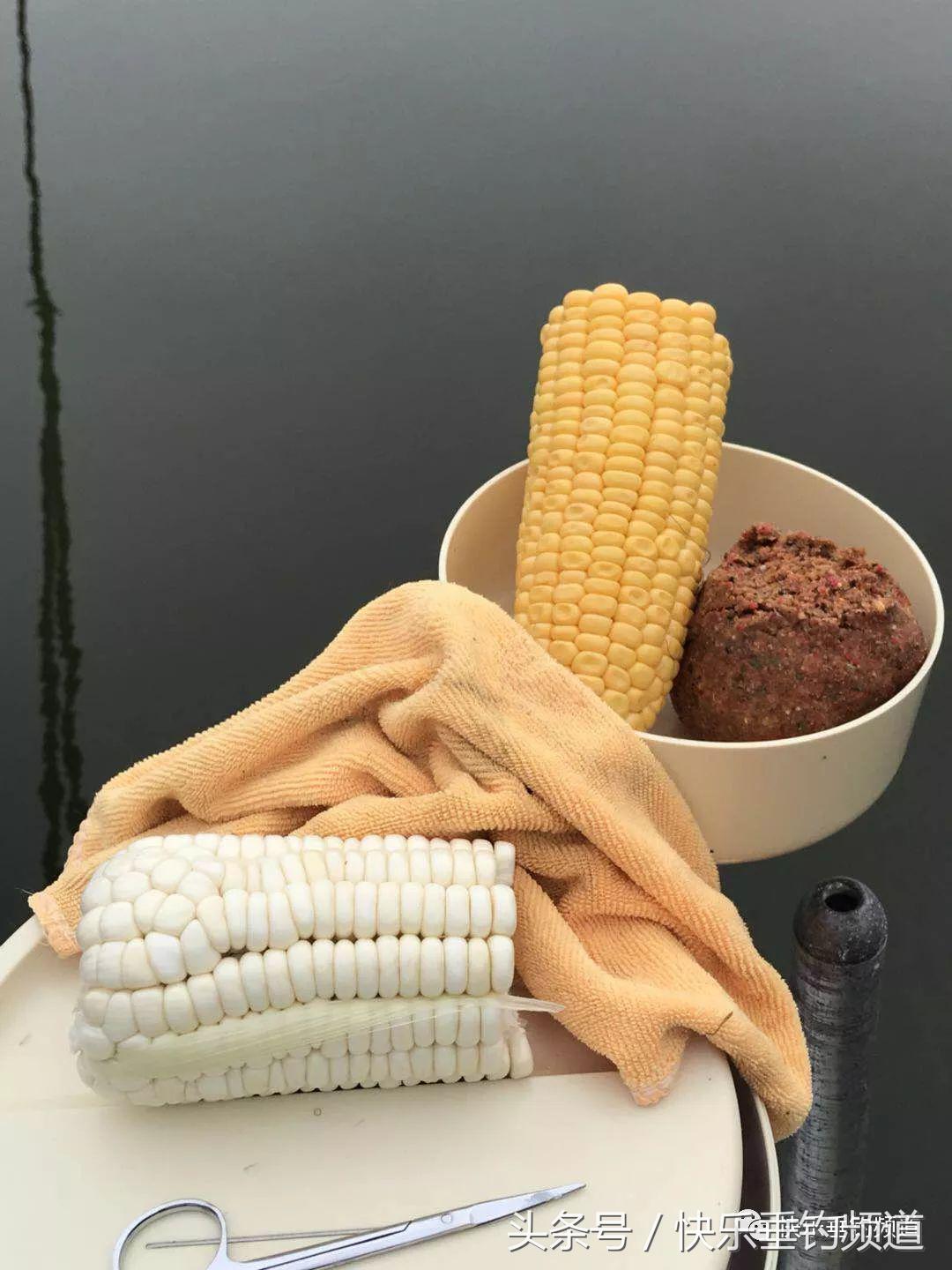 河蟹闹窝不要慌，用对方法可抢大鱼！