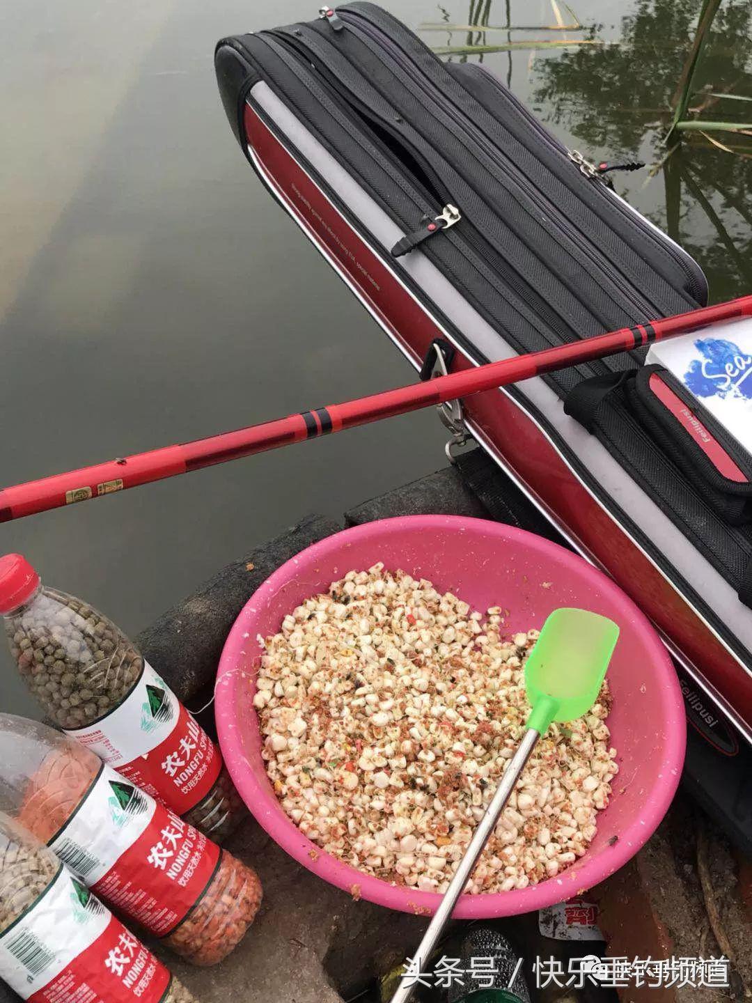 河蟹闹窝不要慌，用对方法可抢大鱼！