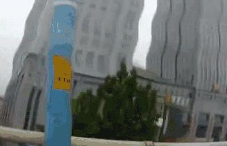 夏天一个月,就这么多人开车开进了拘留所,要败火我给你支几招