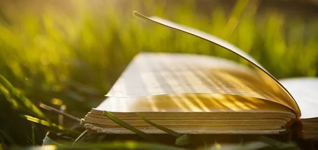 最近看过的一本好书,偶然发现一本好书