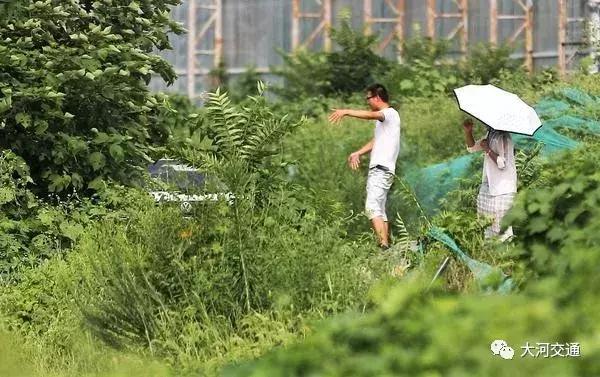 严查违规驾校,怎么举报非法经营的驾校