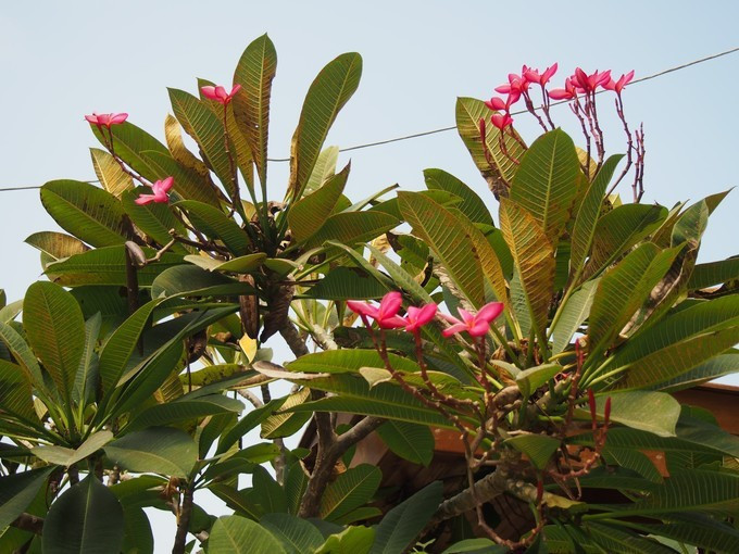 闺蜜三亚游详细攻略,七夕去哪里玩比较浪漫三亚