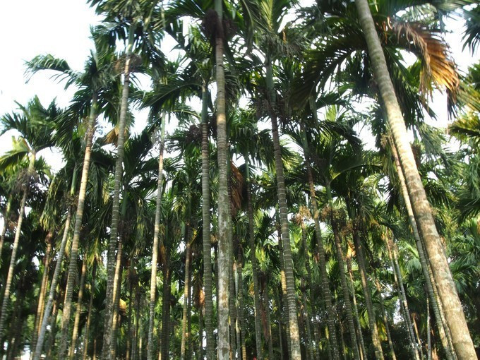 闺蜜三亚游详细攻略,七夕去哪里玩比较浪漫三亚